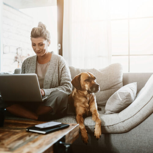 5 Essential Work From Home Technologies for Maximizing Remote Productivity